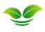 Tullia Tea